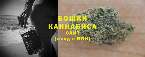 спиды Богородицк