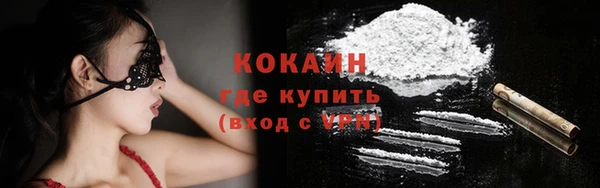 спиды Богородицк