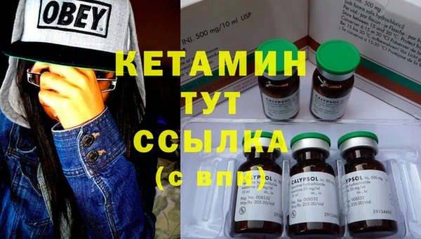 спиды Богородицк