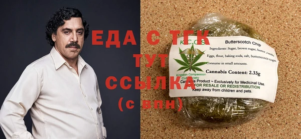 спиды Богородицк