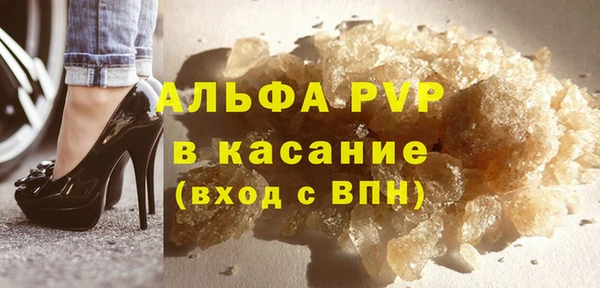 спиды Богородицк