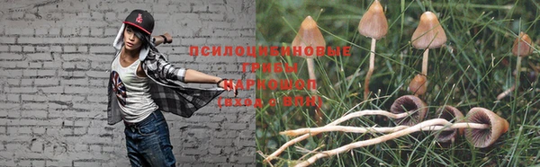 спиды Богородицк
