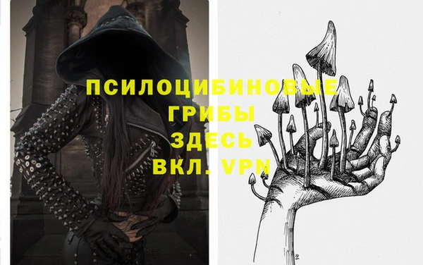 ECSTASY Михайлов