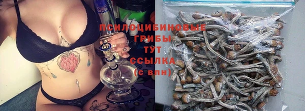 твердый Михайловск