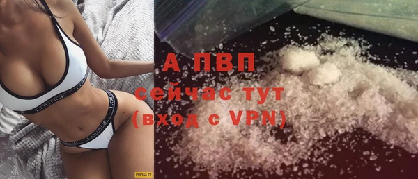 скорость Богданович