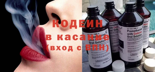 спиды Богородицк
