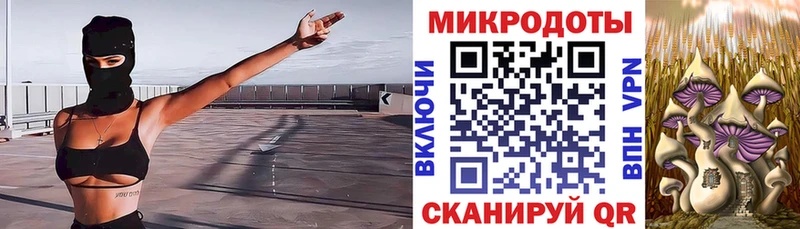 купить  цена  Буй  даркнет официальный сайт  Галлюциногенные грибы MAGIC MUSHROOMS 